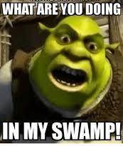 What r u doing in my swamp?