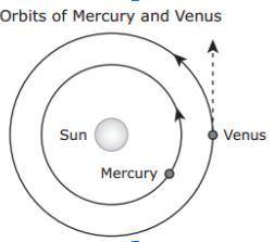 Help

The diagram below models Mercury and Venus orbiting the Sun.
What force causes Venus to