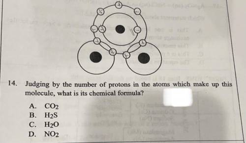 Judging by the number of protons in the atoms which make up this

molecule, what is its chemical f