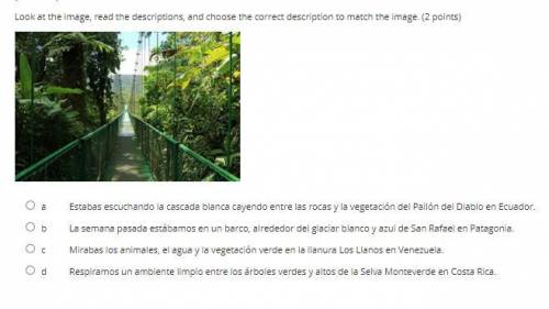 Look at the image, read the descriptions, and choose the correct description to match the image. (2