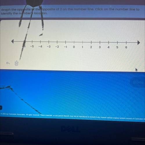 Graph the opposite of the ppposite of 2 on the number line. Click on the number line to

Identify