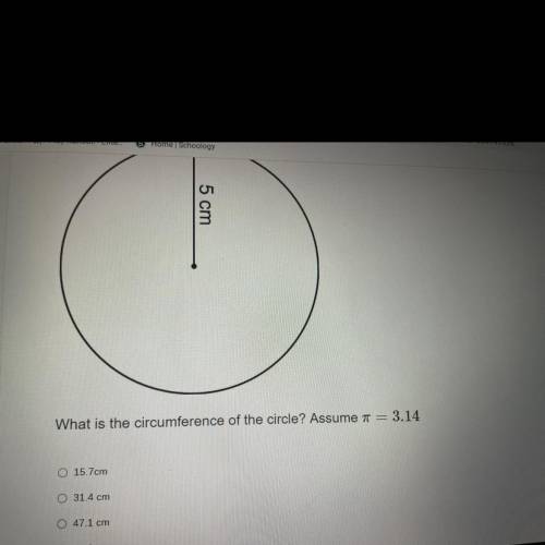 What is the circumference of the circle? Assume pi = 3.14