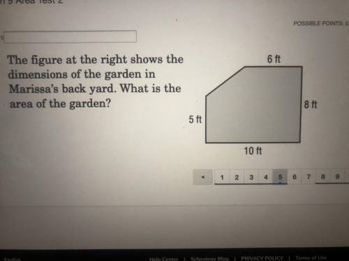 What the answer? Pls help thank u for ur time have a nice day ❤️❤️