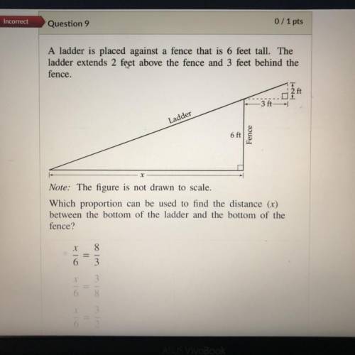 I need help with Question 9 ?