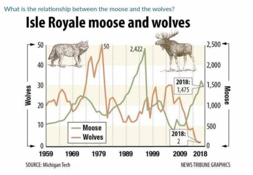 What is the relationship between the wolf and the moose? Help me pleaseNOOOO LINKSSS