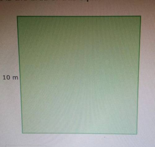 What is the area of this square?​