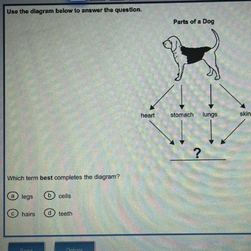 The answers arent on the part where it says parts of a dog