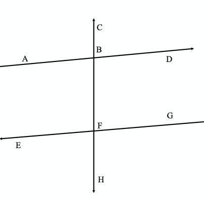 If m

 
A: Line AD is congruent to Line EG because alternate exterior angles are congruent.
B: Line
