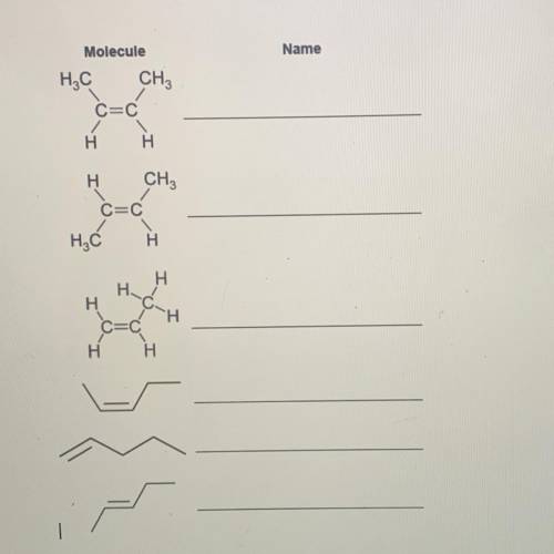 B. Write the name of the alkene next to the drawing of the molecule. Names include:

1-pentene, tr