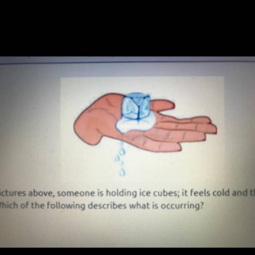 In the pictures above, someone is holding ice cubes; it feels cold and they begin to

melt. Which