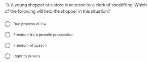 A young shopper at a store is accused by a clerk of shoplifting. Which of the following will help t