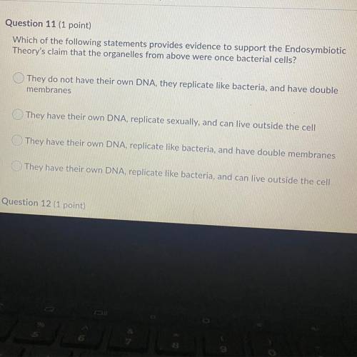 Answer 11 final exammmmmmmmmmmm