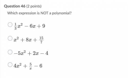 Which expression is NOT a polynomial?