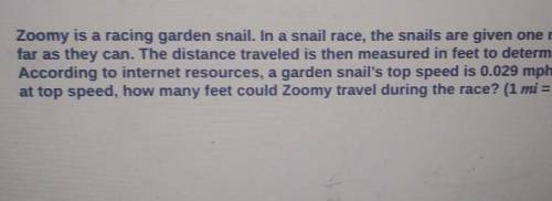 Zoomy is a racing garden snail. In a snail race, the snails are given one minute to travel as far a
