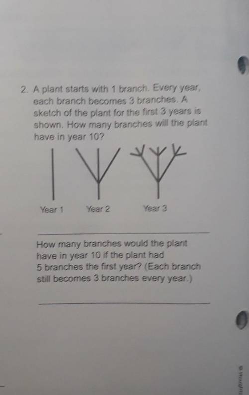 A plant starts with 1 branch. Every year. each branch becomes 3 branches. A sketch of the plant for