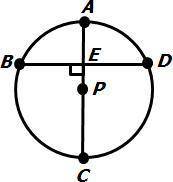 In circle P , AC is the diameter, AC ⊥ BD , BD = 24 and AC = 26.

What is the length of PE ?