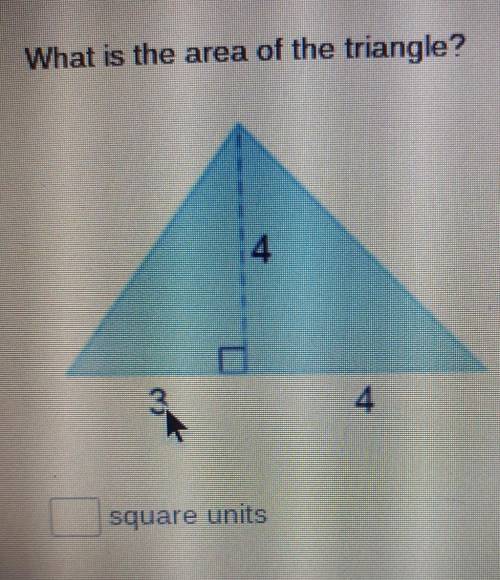 What is the area of the triangle?​