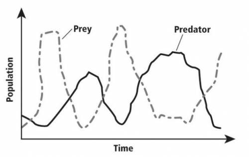 The graph shows changes in the populations of predator and prey over time. Which best explains why