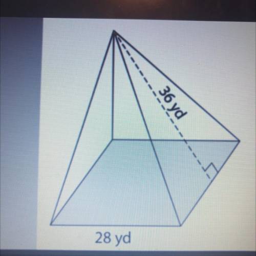 Calculate the surface area of the figure.