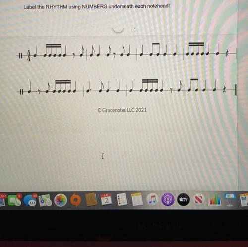 Label the rhythm using numbers underneath each notehead
PLEASE HELP!