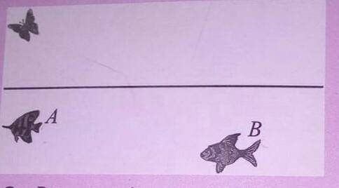 Explain how light rays can reach two paths from fish A to fish B's eye. To explain your answer Draw