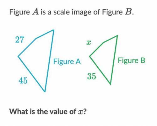 Figure A is a scale image of Figure B.
What is the value of x?
PS. it's not 17