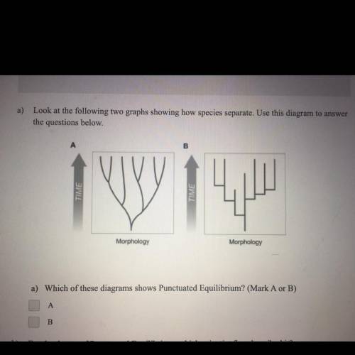 ANSWER NOW PLEASEREEEE ASAPPPP 
Which of these diagrams shows Punctuated Equilibrium? A OR B