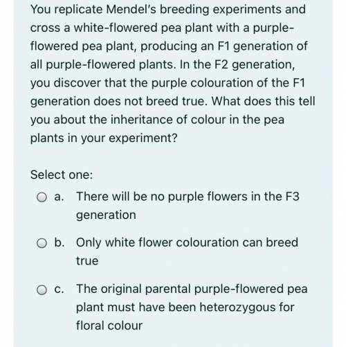 D. The purple flowers of the F1 generation must have been heterozygous O