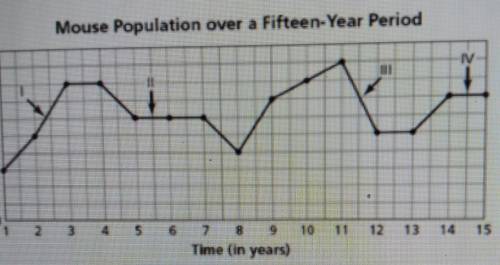 The graph below shows the population of mice living in a certain area over fifteen years Which nume