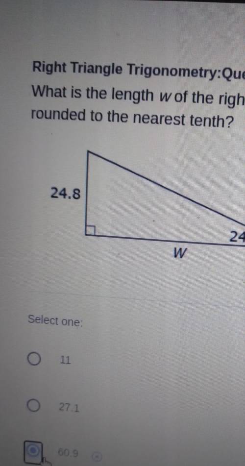 What is the length of w of the right triangle rounded to the nearest tenth?​