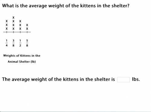 What is the average weight of the kittens in the shelter?pls help