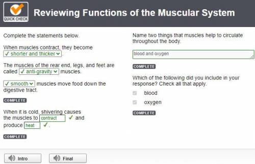 Complete the statements below. When muscles contract, they become . The muscles of the rear end, leg