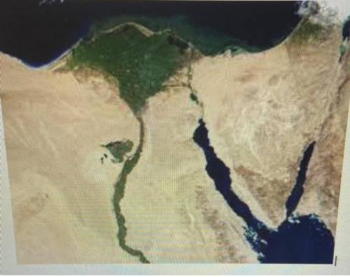 Explain the contrast between the light brown and the dark green areas of Egypt in the aerial view i