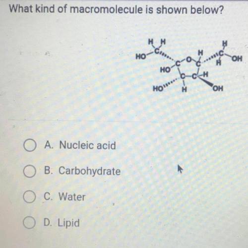 What kind of macromolecule is shown below?
НО
ОН
НО
Хонин
он