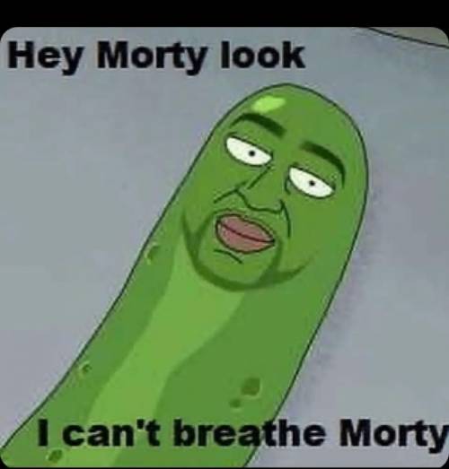 I can't breath Morty​