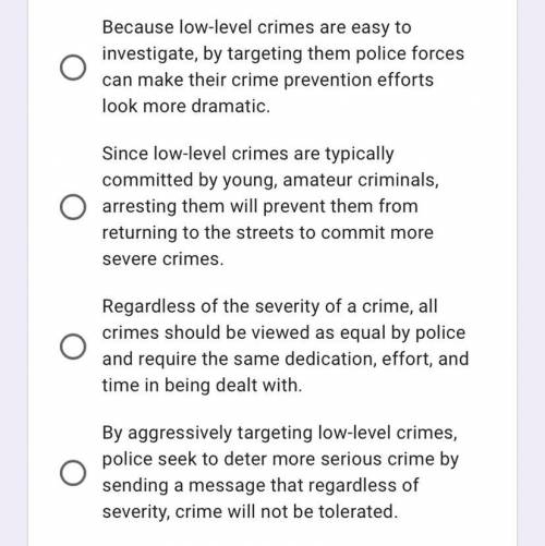 Which argument logically best supports the idea that police officers should target low-level crimes