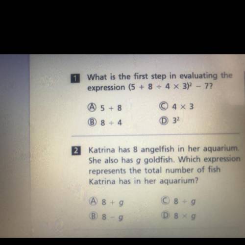 CAN SOMEONE PLEASE ANSWER THESE TWO QUESTIONS?! I NEED HELP!