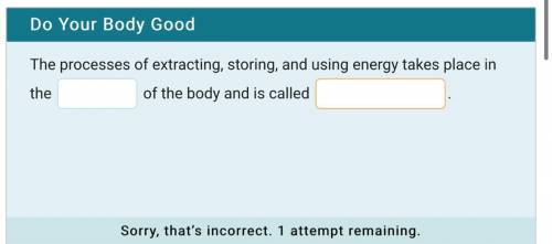 The processes of extracting sorting and using energy takes place in the blank of the body and it’s