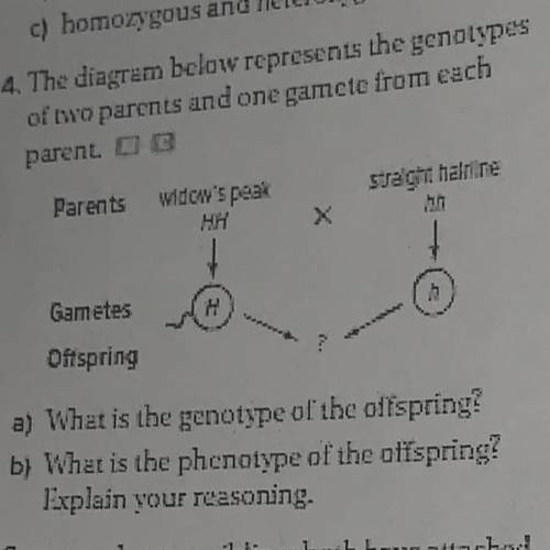 PLEASE HELP!
need answers to a and b !
thank you!