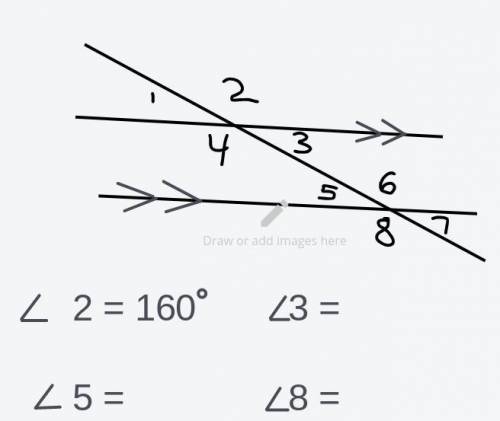 Can you guys help me fill the right angle measures