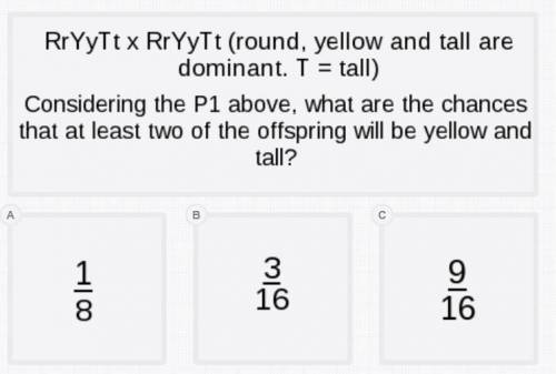RrYyTt x RrYyTt (round, yellow and tall are dominant. T= tall) considering the P1 above what are th