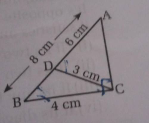 In the given figure alongside,prove that

Triangle ABC is simalar to Triangle SRTFind the length o
