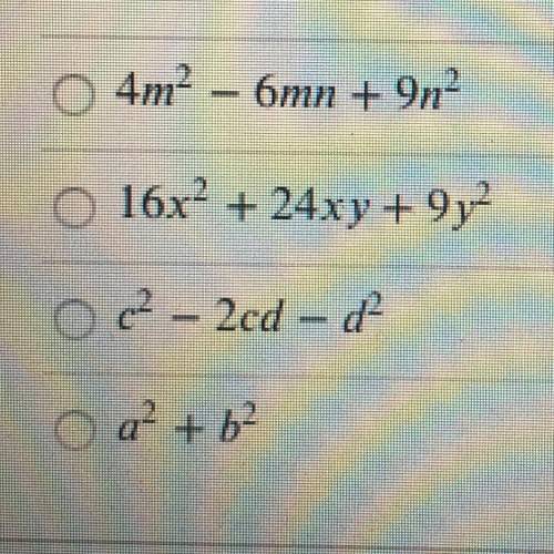 Which of the following is the square of a binomial?