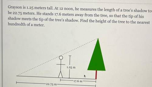 Grayson is 1.25 meters tall. At 12 noon, he measures the length of a tree's shadow to be 22.75 mete