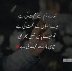 These are true lines about some one​