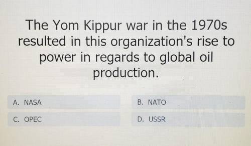 The Yom Kippur war in the 1970s resulted in this organization's rise to power in regards to global