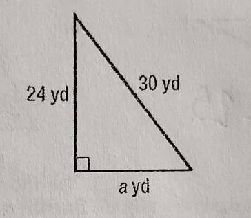 Find the missing side of the triangle using the Pythagorean Theorem.​