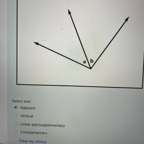 Identify the angles relationship