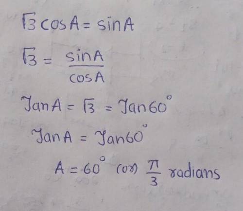 If √3CosA = sin A , find the acute angle A​