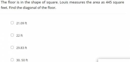 The floor is in the shape of square. Louis measures the area as 445 square feet. Find the diagonal